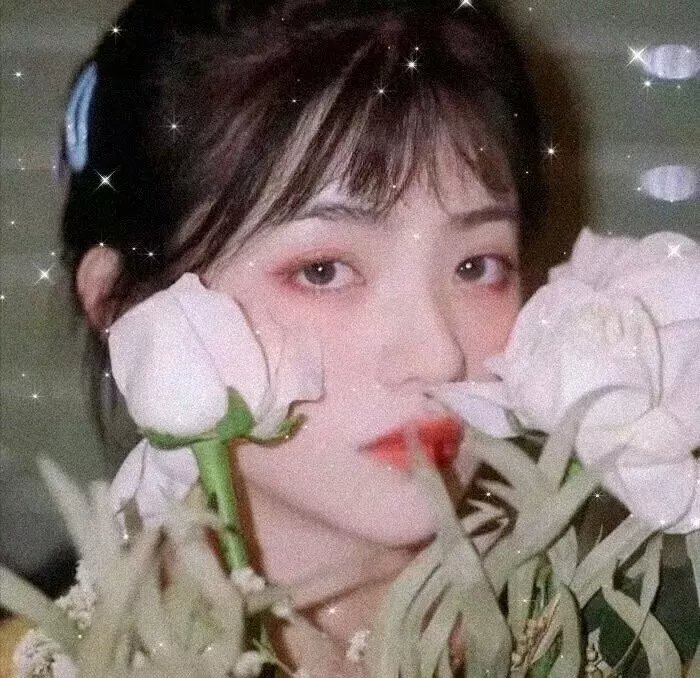 暗金丑岛君
